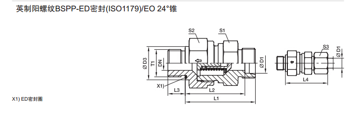 RHZ-R-ED 單向閥 英制螺紋-ED密封-2.jpg